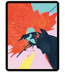 iPad Pro 12.9" (3rd Generation) Parts